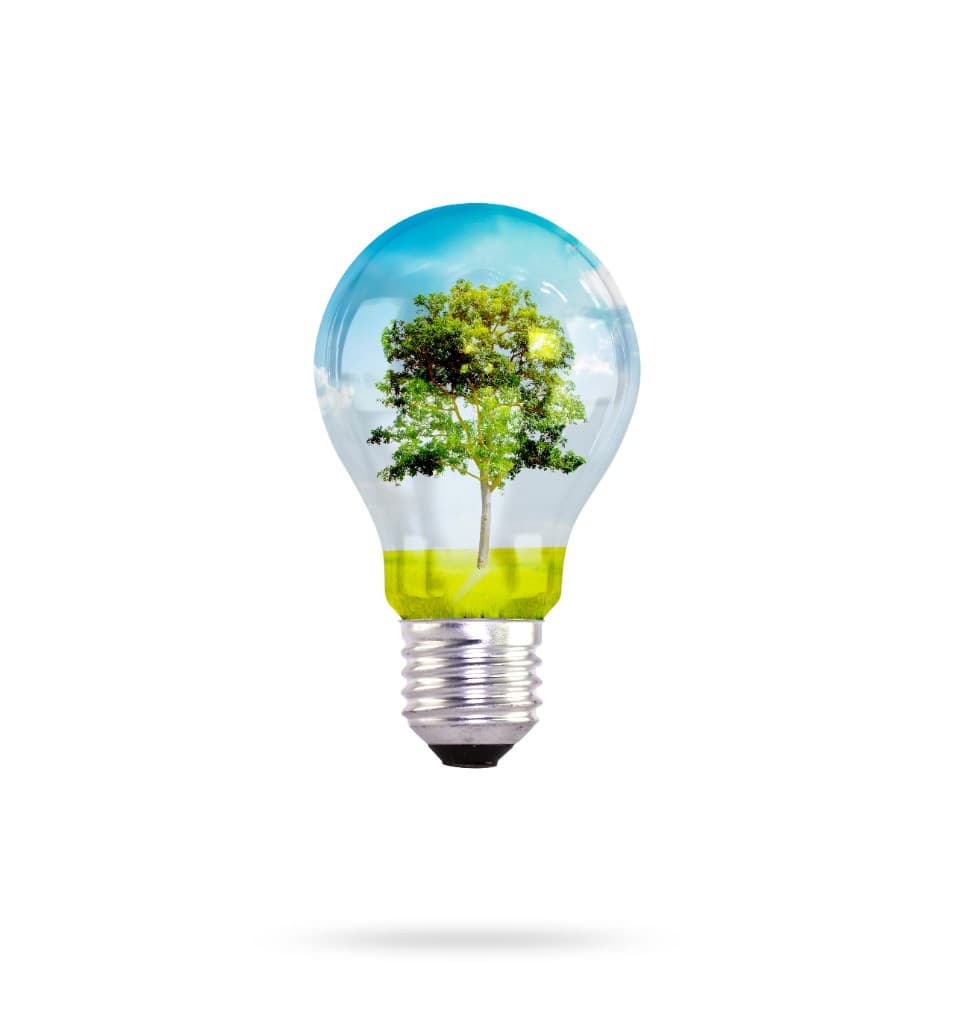 Sustainable energy and ecological transition