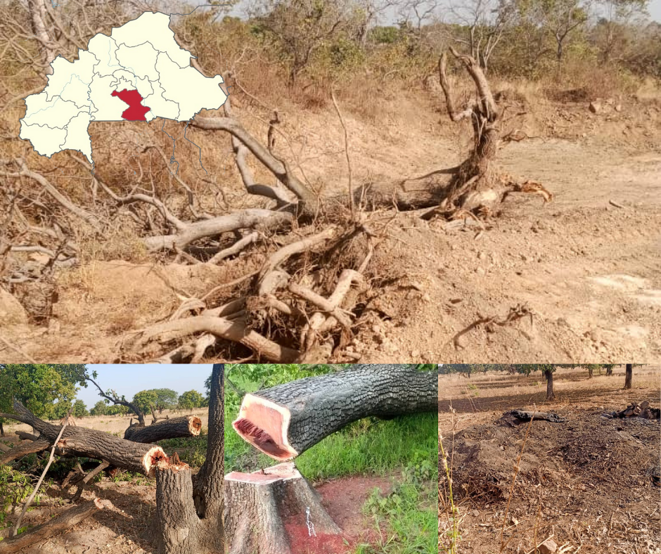 South-Central/BF: AMD International analyzes the region’s vulnerability, climate risks and adaptation options